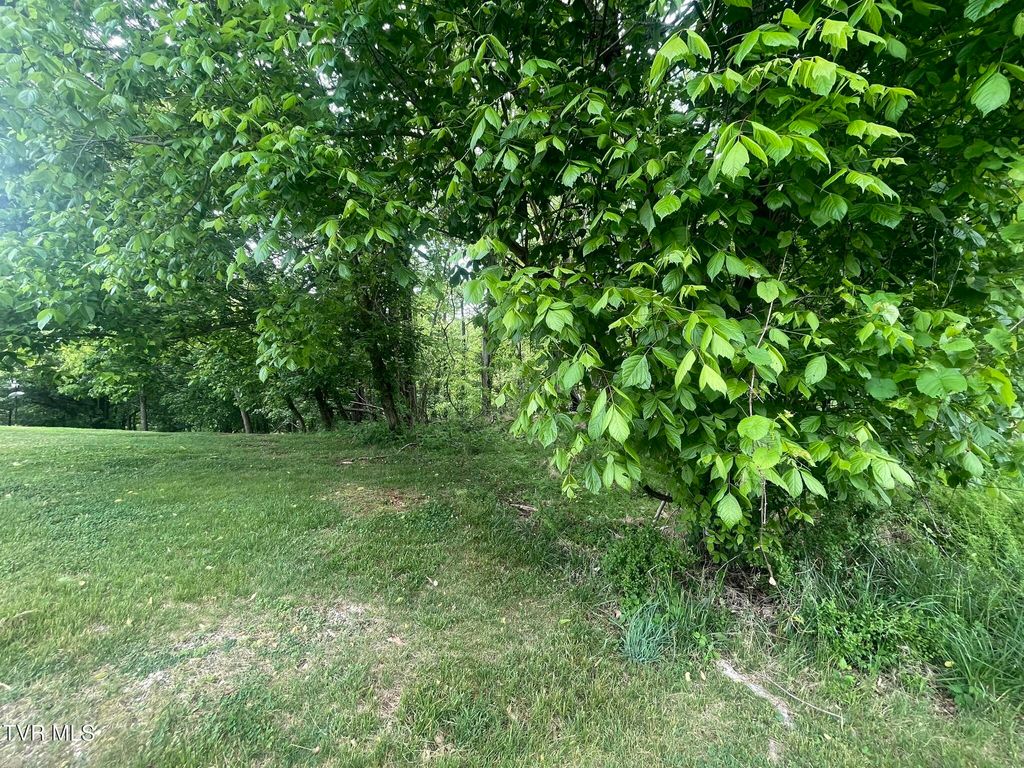 Photo of Tbd Hillcrest Drive, Gate City, VA 24251 (MLS # 9995993)