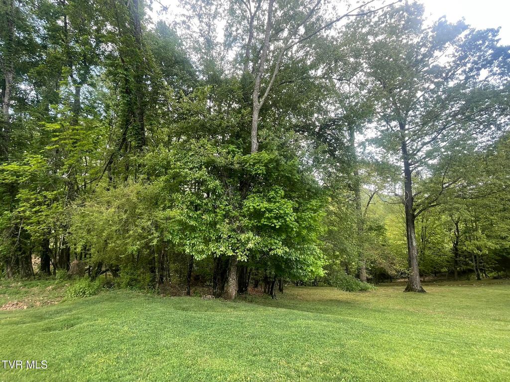 Photo of Tbd Hillcrest Drive, Gate City, VA 24251 (MLS # 9995993)