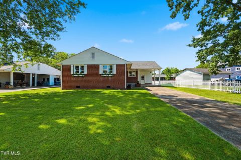 Homes For Sale - 2209 Hermitage Drive<br/> Kingsport, TN 37664