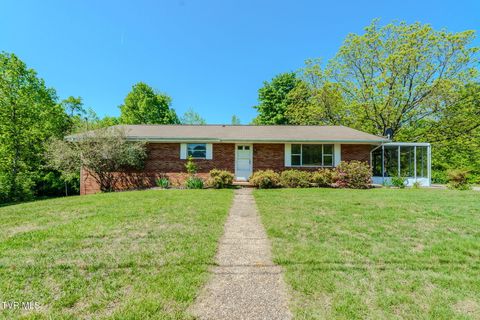 Photo of 812 Redbud Drive, Greeneville, TN 37743 (MLS # 9995014)