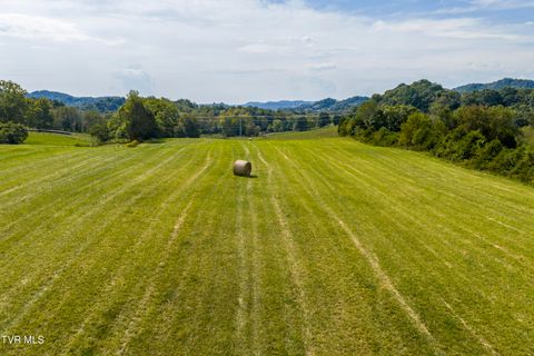 Tiny photo for 2158 Vance Tank Road, Bluff City, TN 37618 (MLS # 9986376)