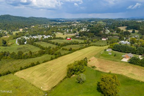 Tiny photo for 2158 Vance Tank Road, Bluff City, TN 37618 (MLS # 9986376)