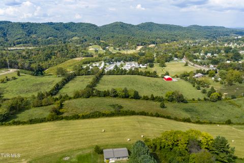 Tiny photo for 2158 Vance Tank Road, Bluff City, TN 37618 (MLS # 9986376)