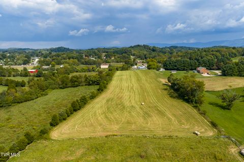 Tiny photo for 2158 Vance Tank Road, Bluff City, TN 37618 (MLS # 9986376)