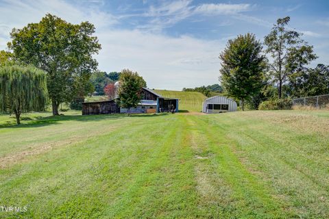 Tiny photo for 2158 Vance Tank Road, Bluff City, TN 37618 (MLS # 9986376)