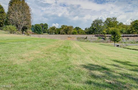 Tiny photo for 2158 Vance Tank Road, Bluff City, TN 37618 (MLS # 9986376)