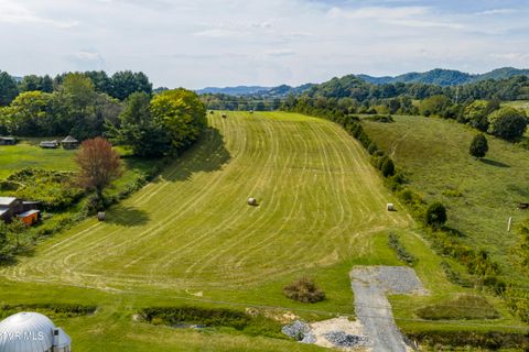 Tiny photo for 2158 Vance Tank Road, Bluff City, TN 37618 (MLS # 9986376)