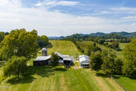 Tiny photo for 2158 Vance Tank Road, Bluff City, TN 37618 (MLS # 9986376)