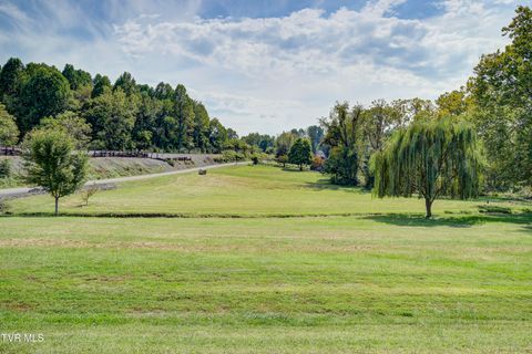 Tiny photo for 2158 Vance Tank Road, Bluff City, TN 37618 (MLS # 9986376)
