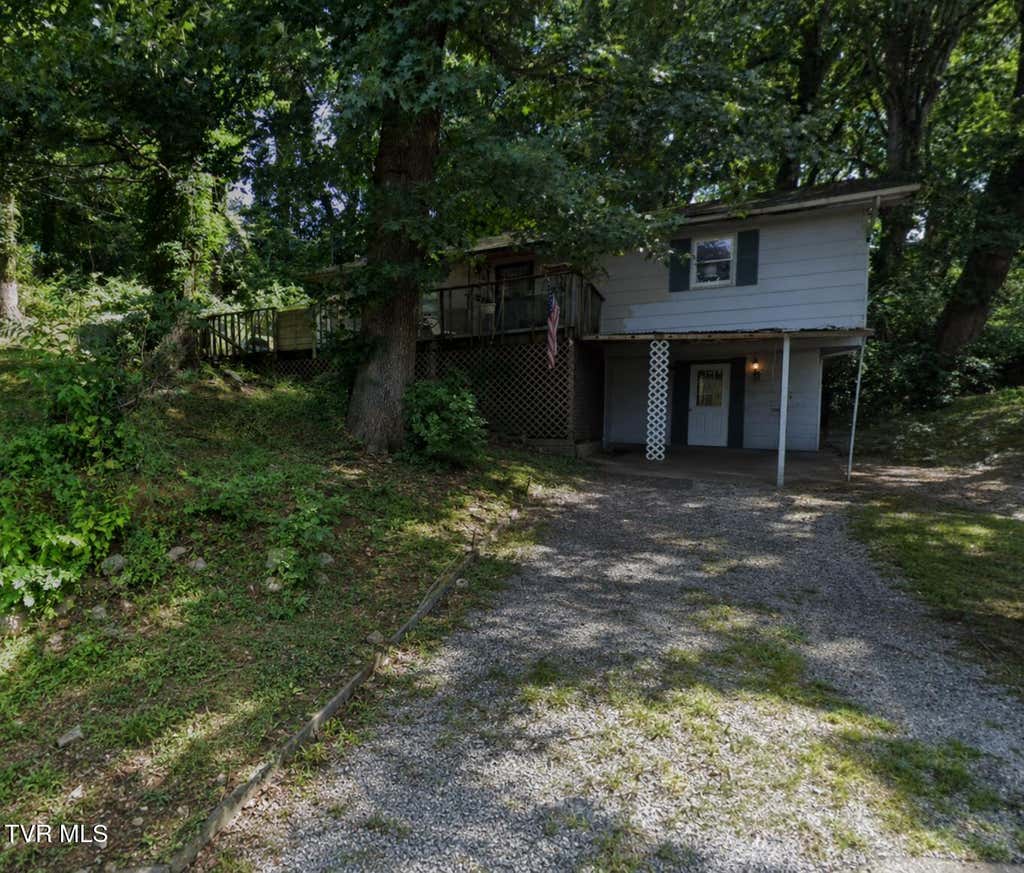 Photo of 116 Cowan Street, Bristol, TN 37620 (MLS # 9998521)