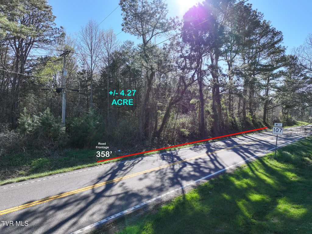 Photo of 5120 Erwin Highway, Chuckey, TN 37641 (MLS # 9993668)