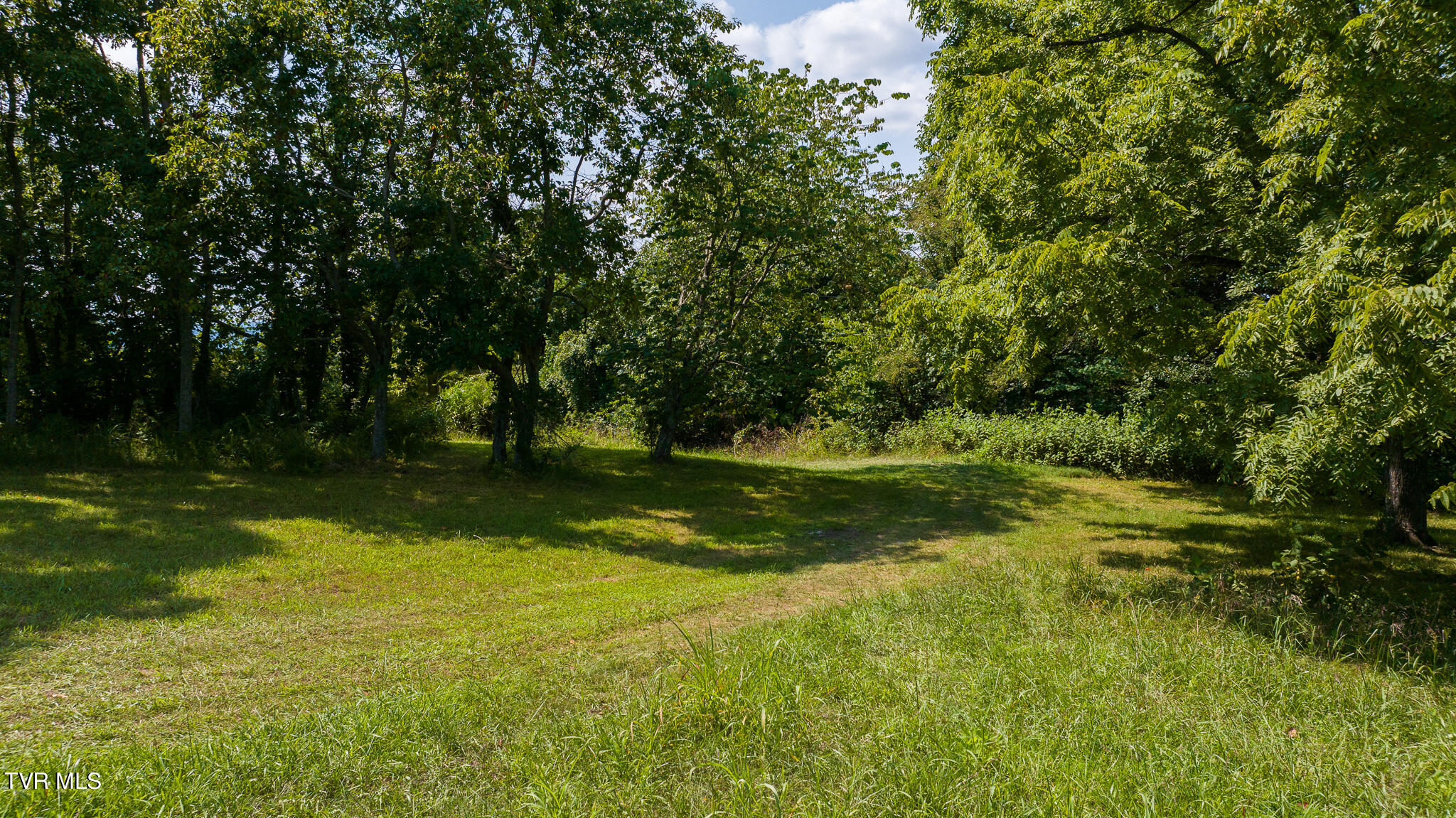 687 Big Springs Road, Eidson, Tennessee image 5