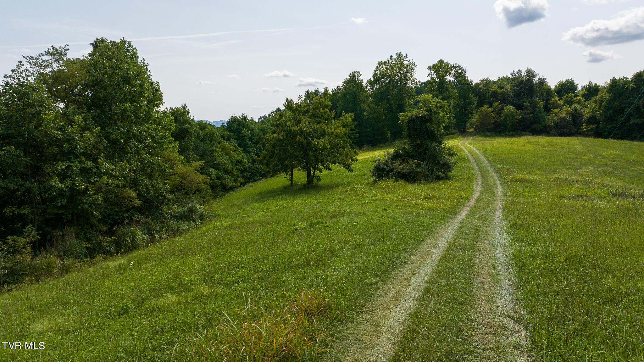 687 Big Springs Road, Eidson, Tennessee image 44