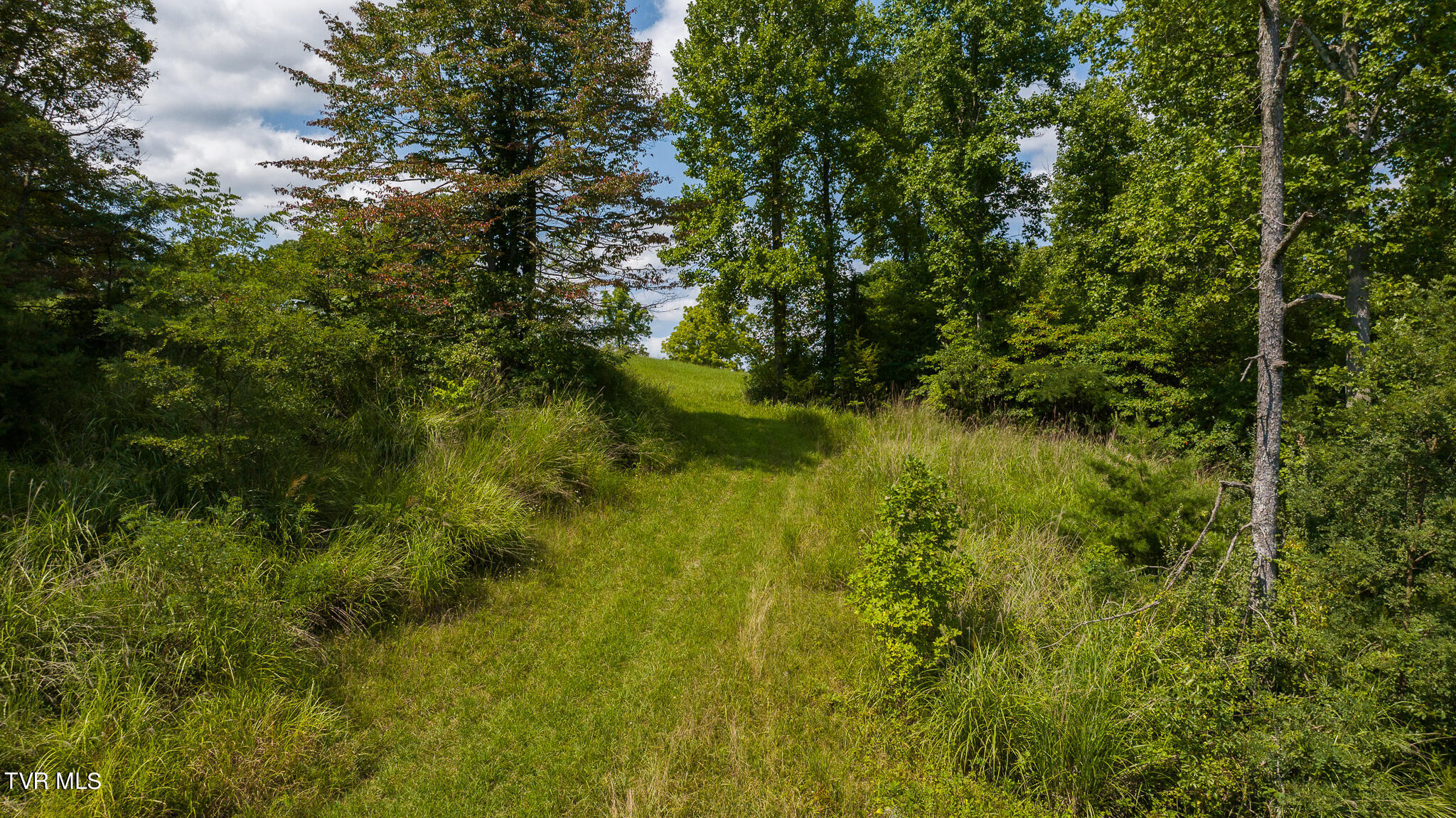 687 Big Springs Road, Eidson, Tennessee image 38