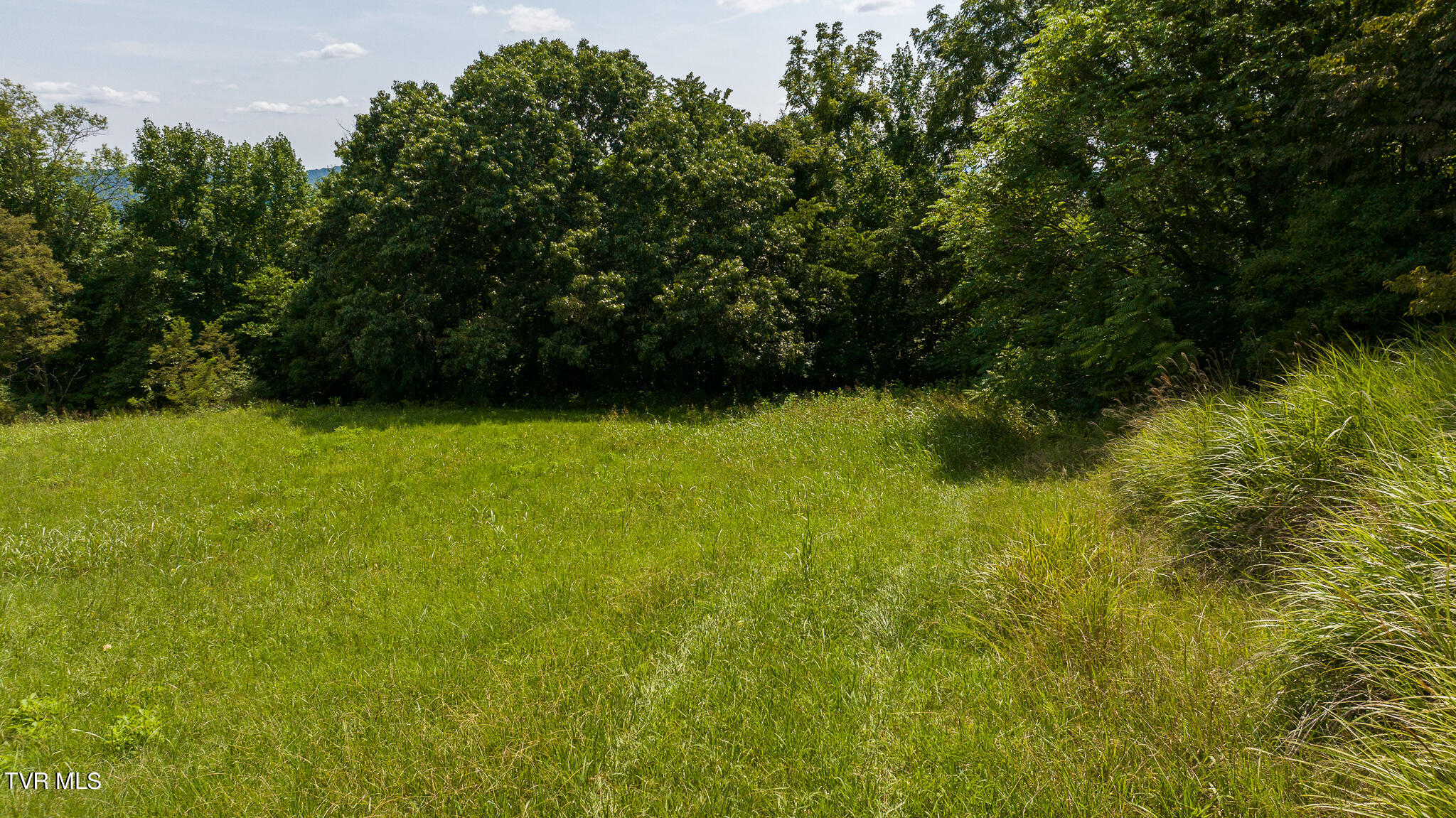 687 Big Springs Road, Eidson, Tennessee image 35