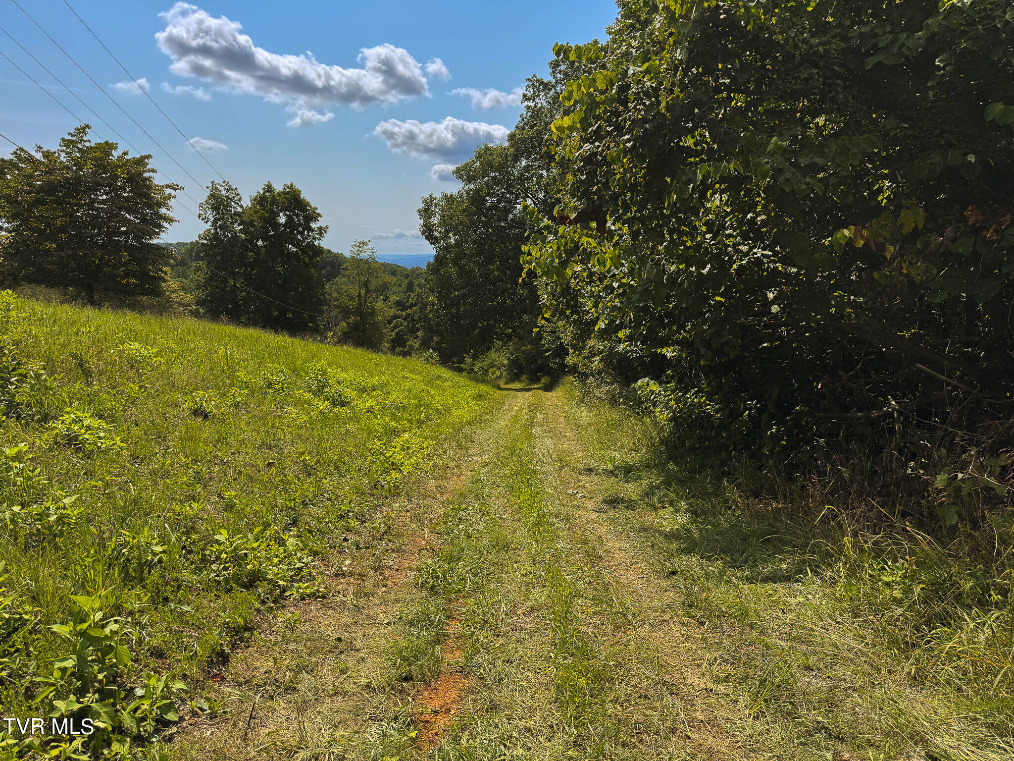 687 Big Springs Road, Eidson, Tennessee image 45