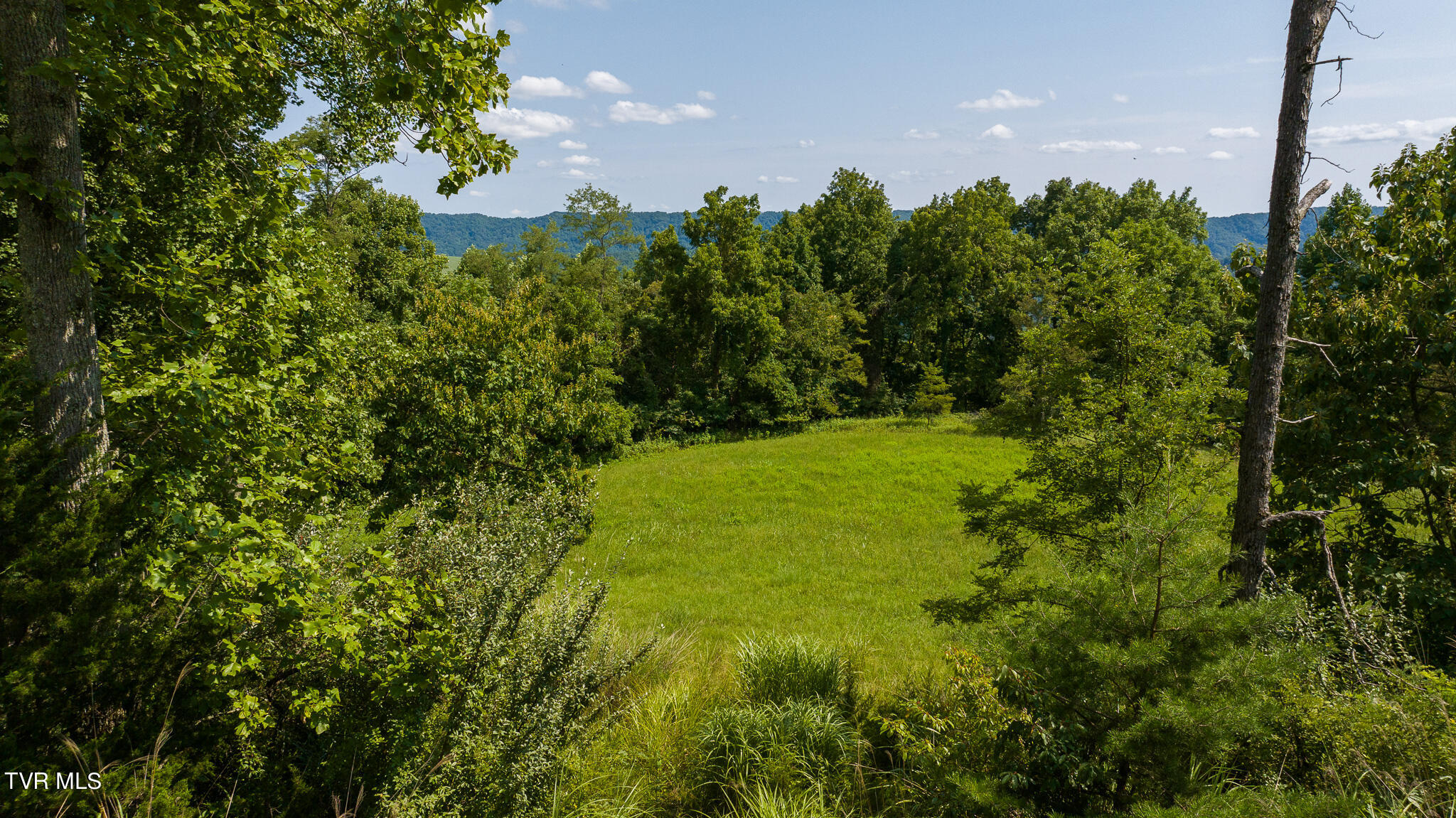 687 Big Springs Road, Eidson, Tennessee image 39