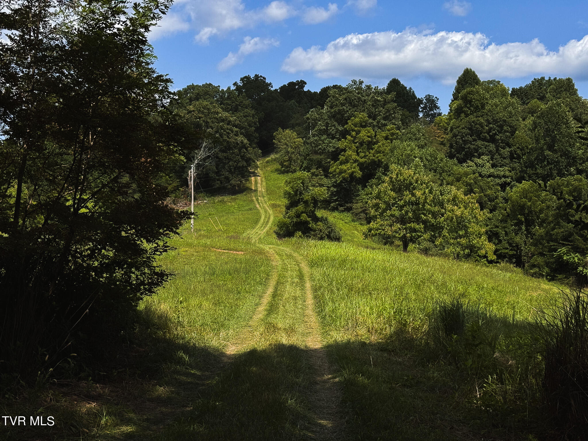 687 Big Springs Road, Eidson, Tennessee image 50