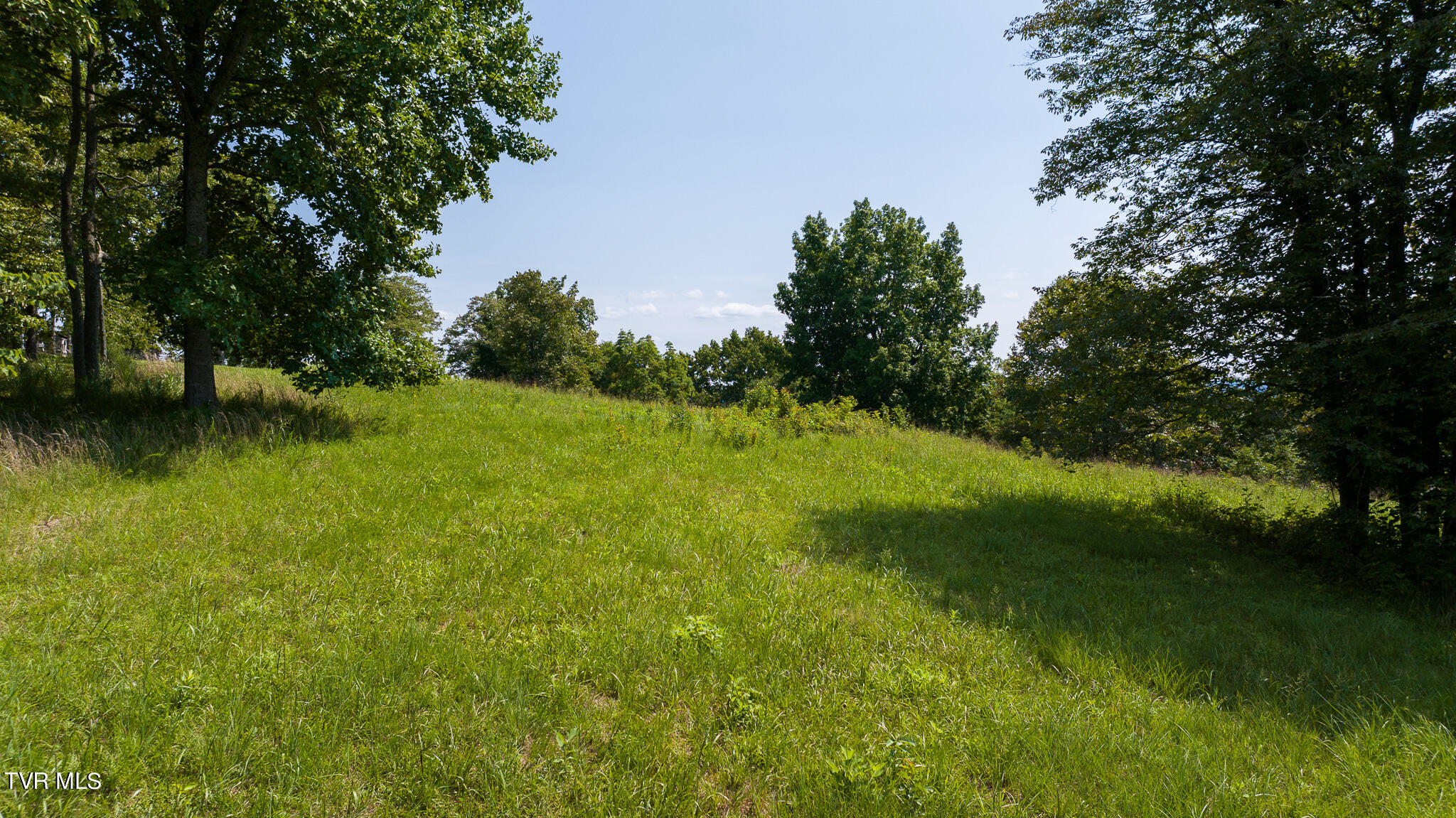 687 Big Springs Road, Eidson, Tennessee image 10