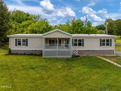 Homes For Sale - 3315 Chuckey Highway<br/> Limestone, TN 37681