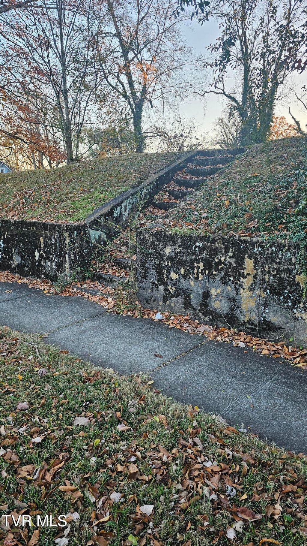 Photo of 1024 Georgia Avenue, Bristol, TN 37620 (MLS # 9988427)