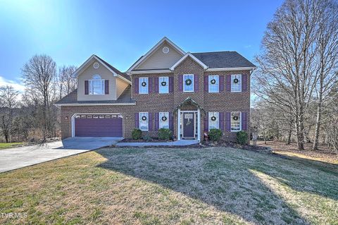 Photo of 616 Kings Ridge Drive, Blountville, TN 37617 (MLS # 9989660)