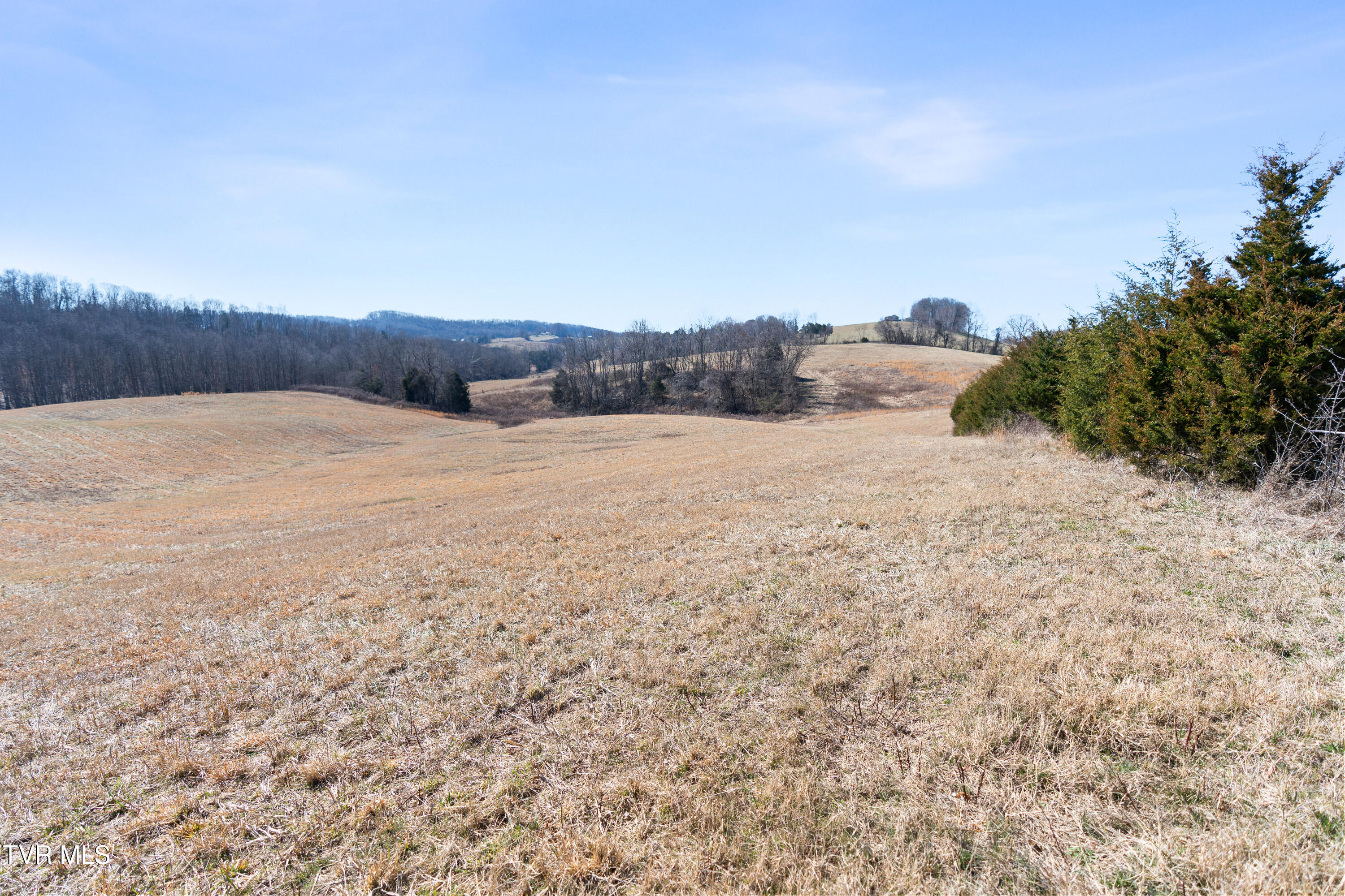 25 Acres Clear Creek Road, Chuckey, Tennessee image 16