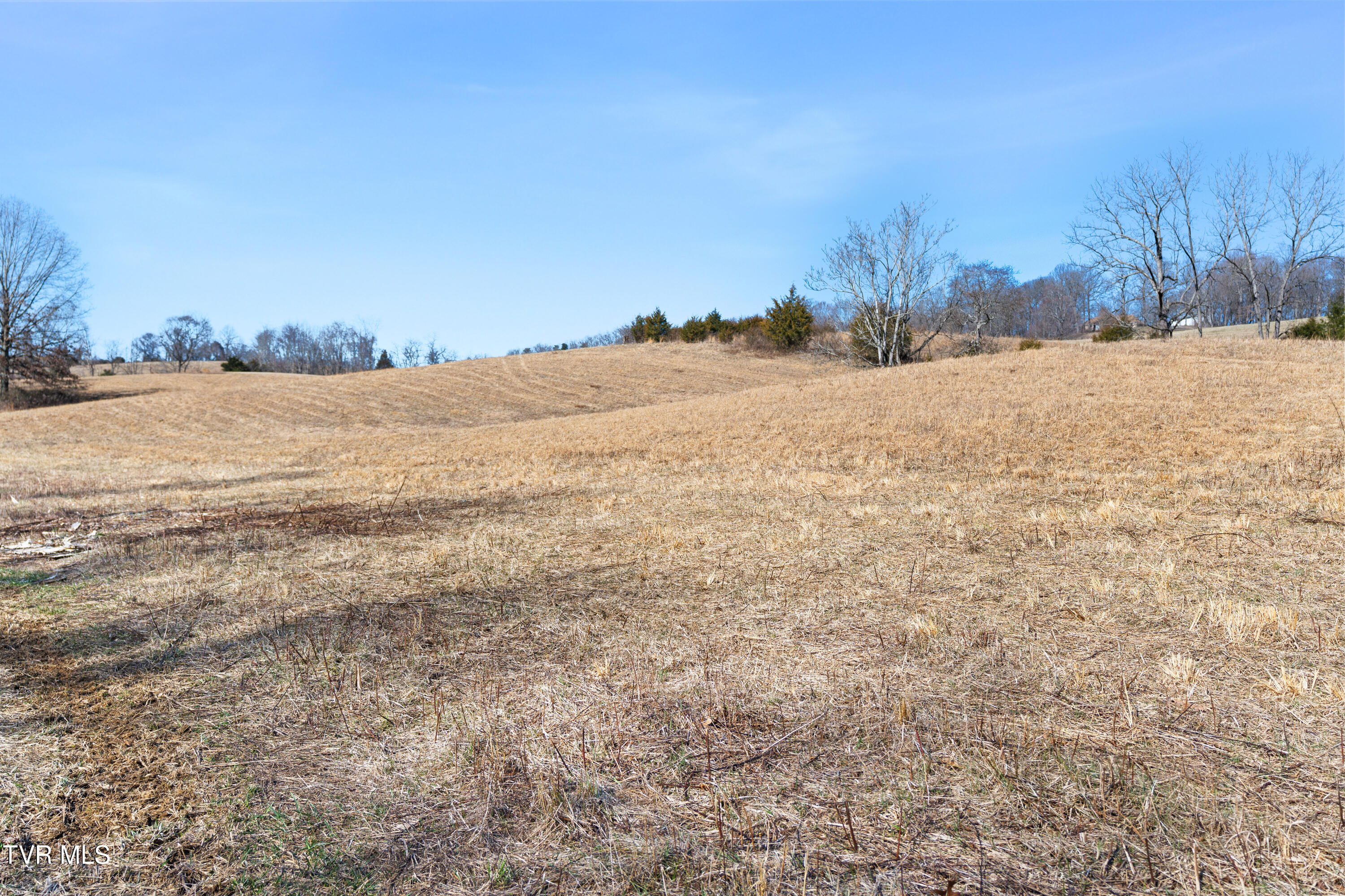 25 Acres Clear Creek Road, Chuckey, Tennessee image 18