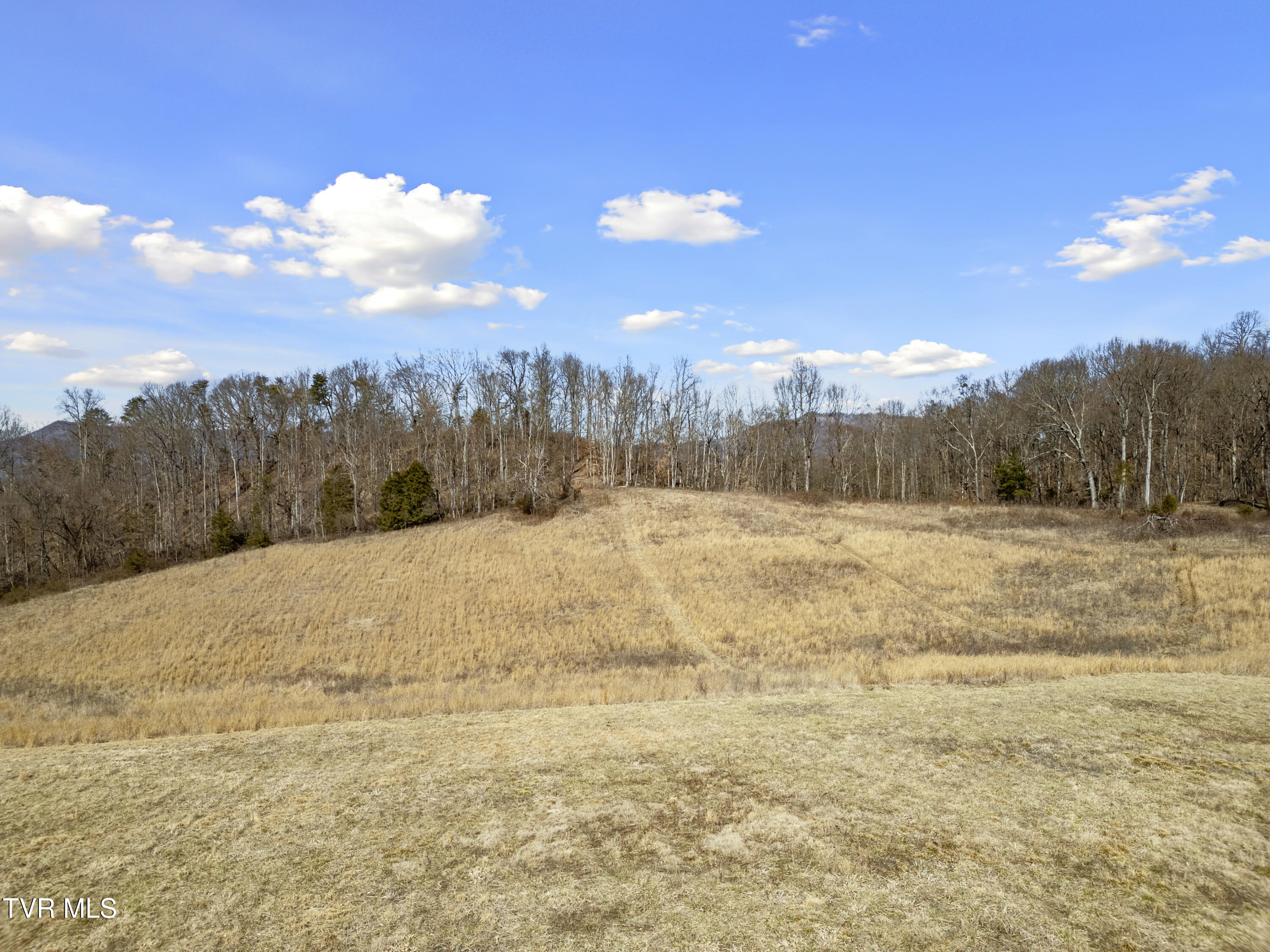 25 Acres Clear Creek Road, Chuckey, Tennessee image 6
