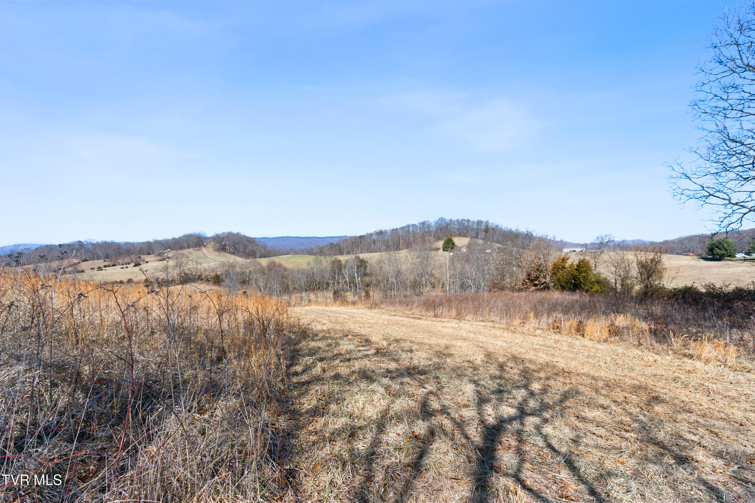 25 Acres Clear Creek Road, Chuckey, Tennessee image 23