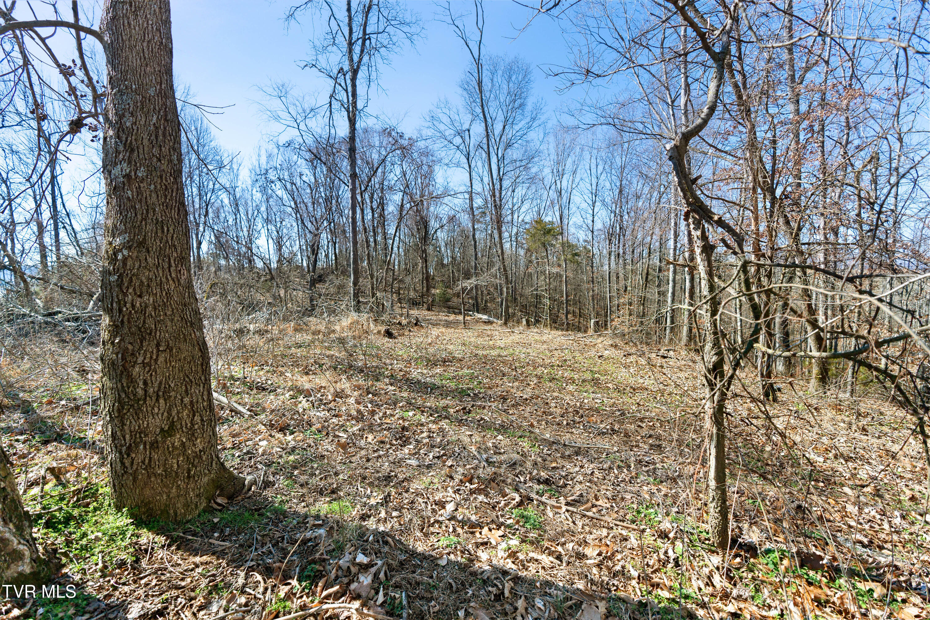 25 Acres Clear Creek Road, Chuckey, Tennessee image 21