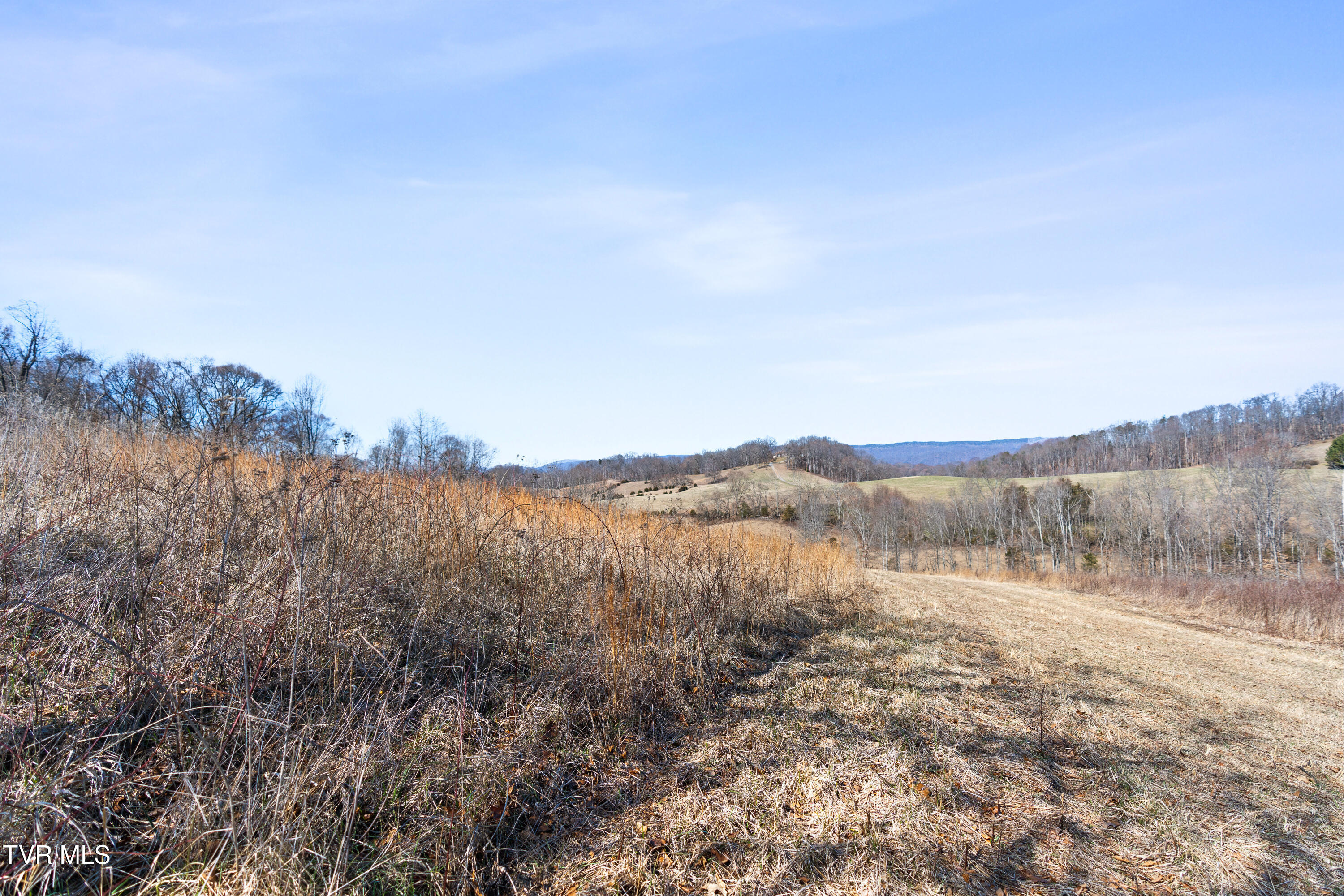 25 Acres Clear Creek Road, Chuckey, Tennessee image 24
