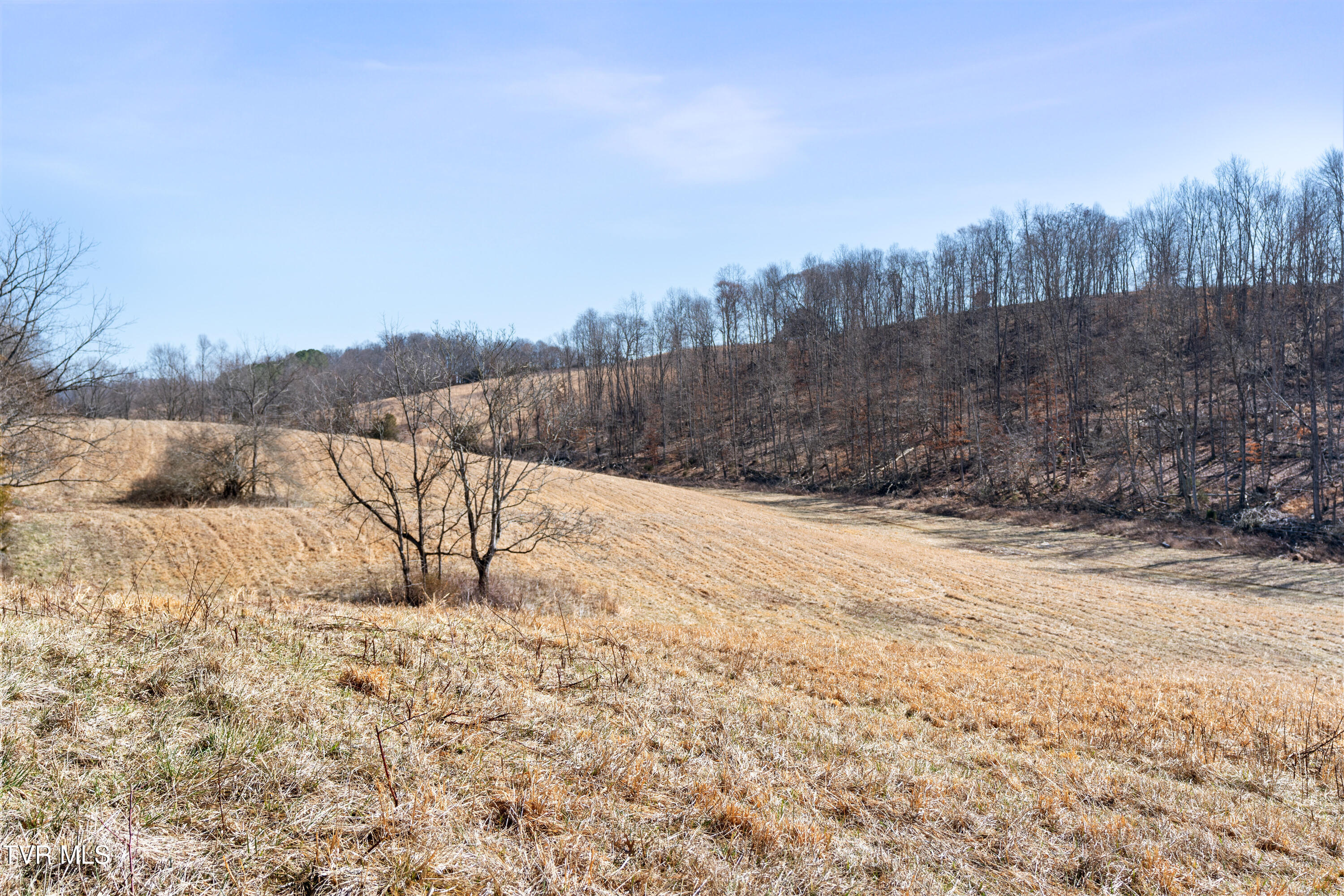 25 Acres Clear Creek Road, Chuckey, Tennessee image 9