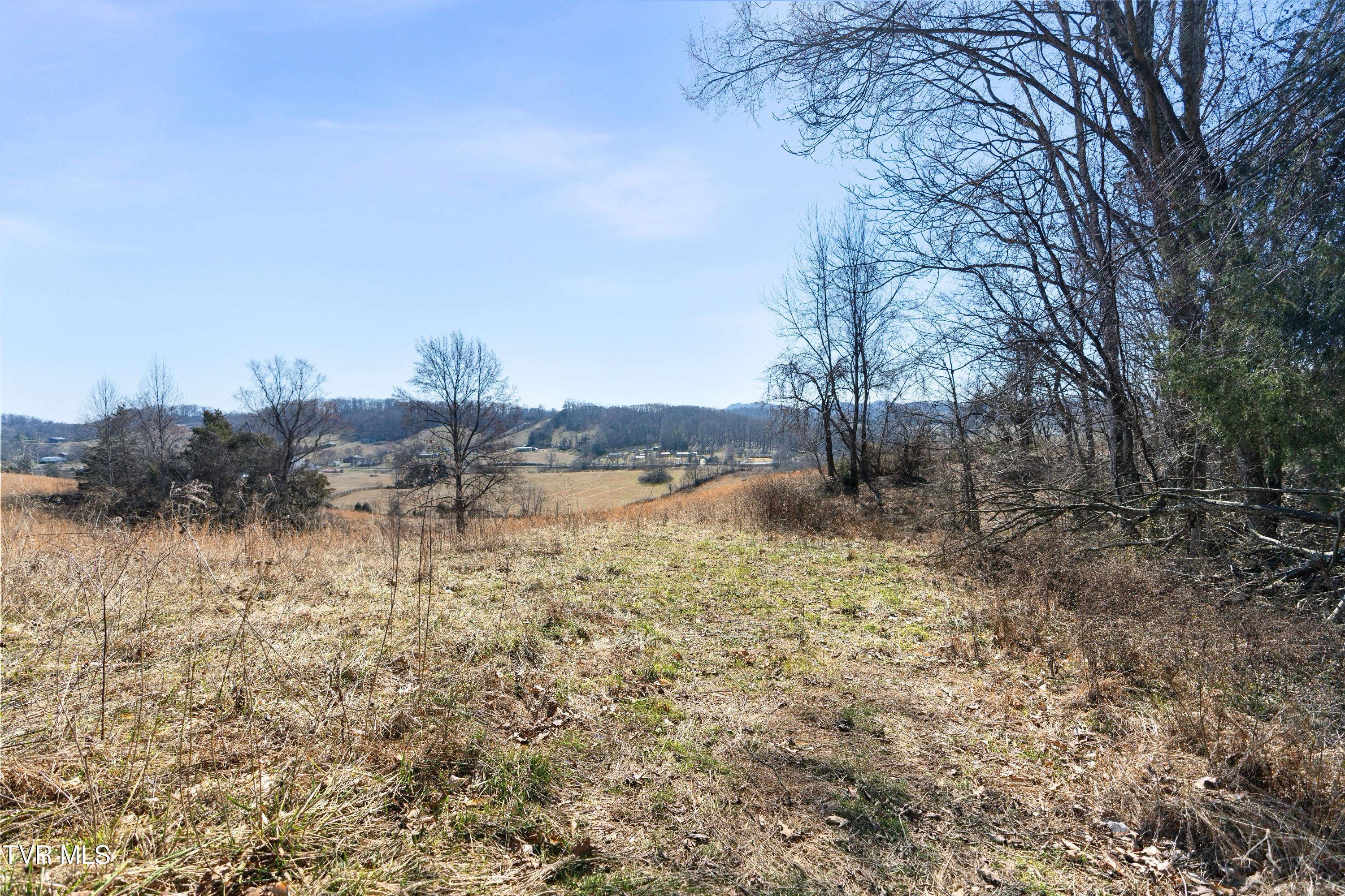 25 Acres Clear Creek Road, Chuckey, Tennessee image 7