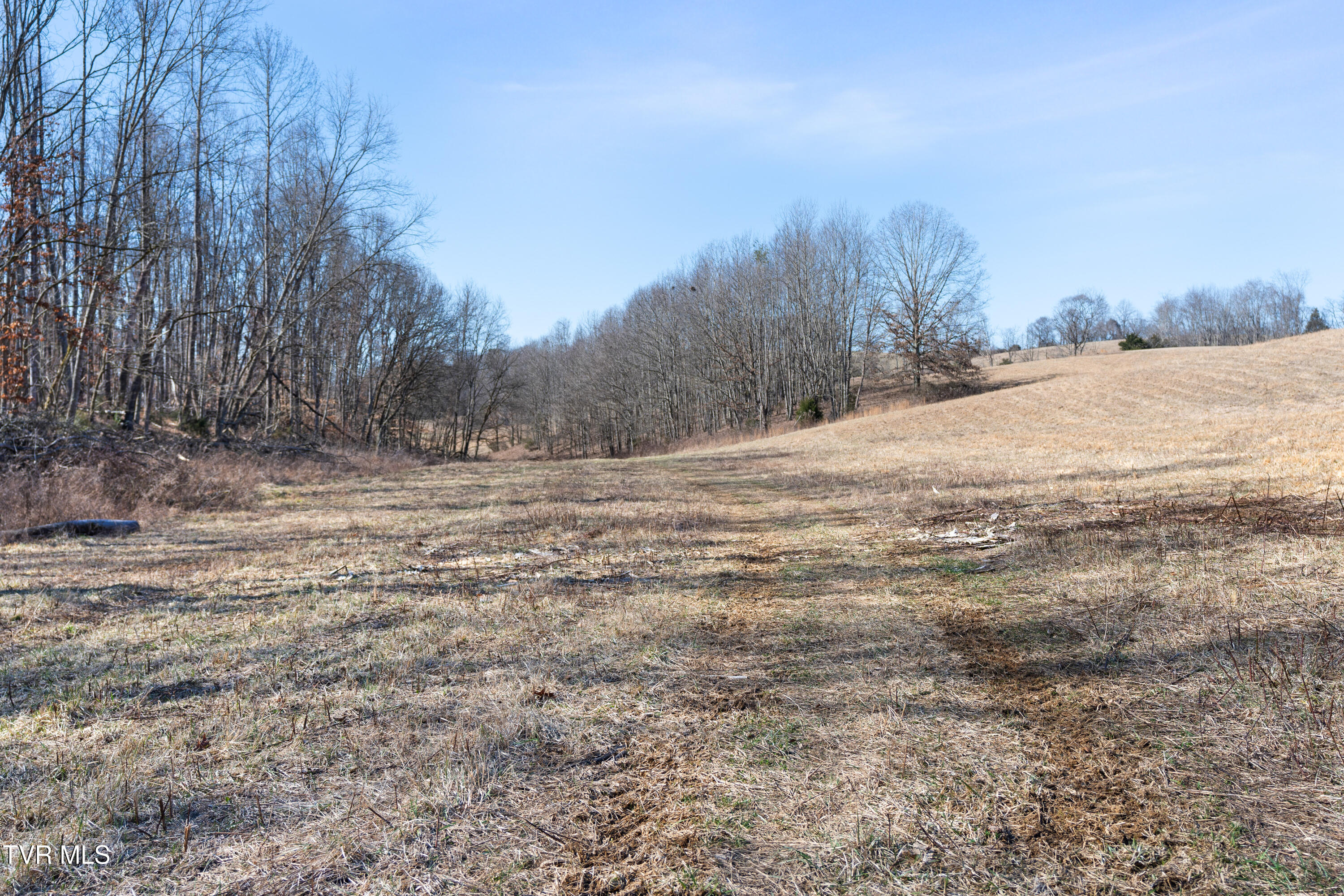 25 Acres Clear Creek Road, Chuckey, Tennessee image 14