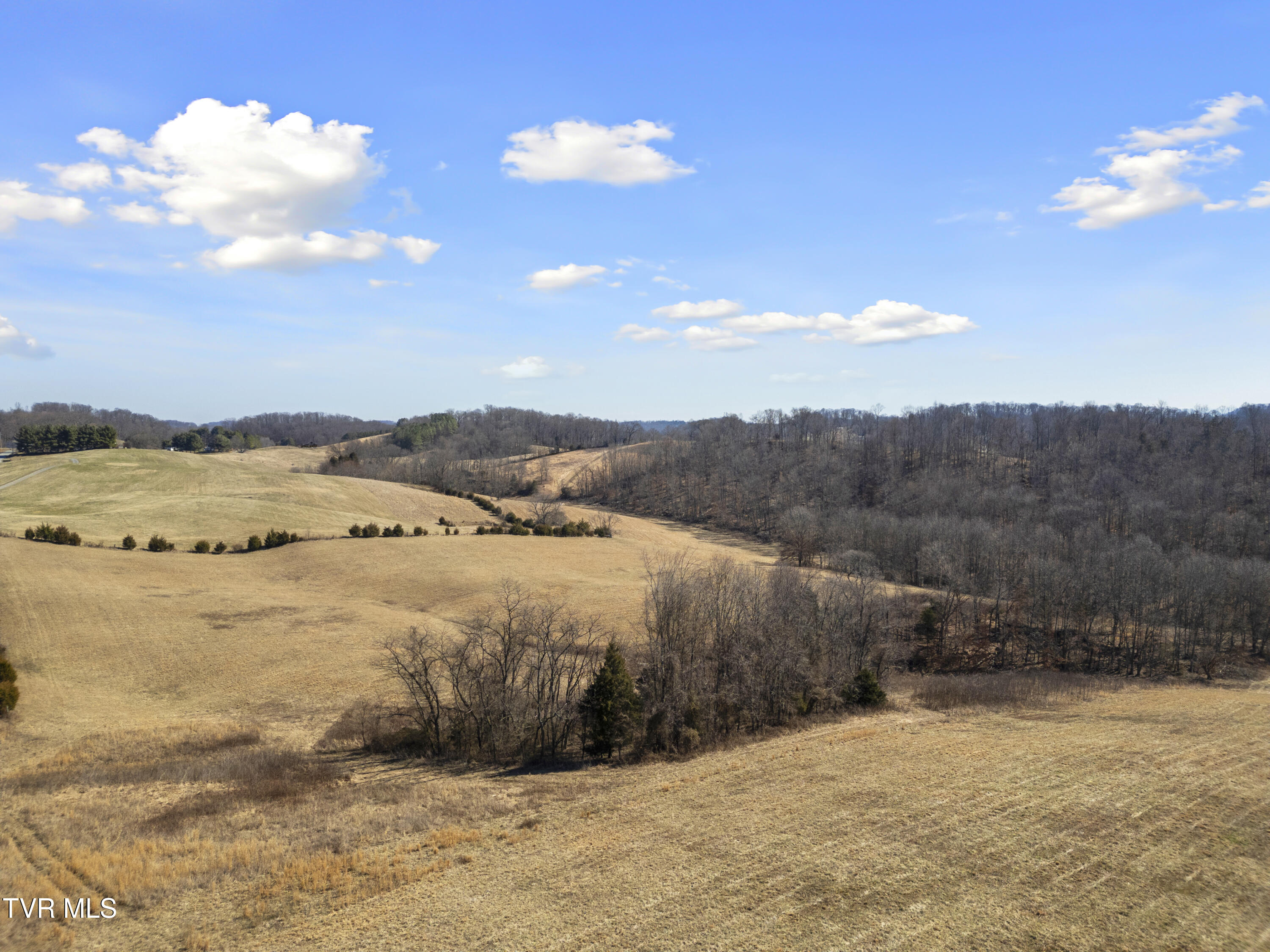 25 Acres Clear Creek Road, Chuckey, Tennessee image 10
