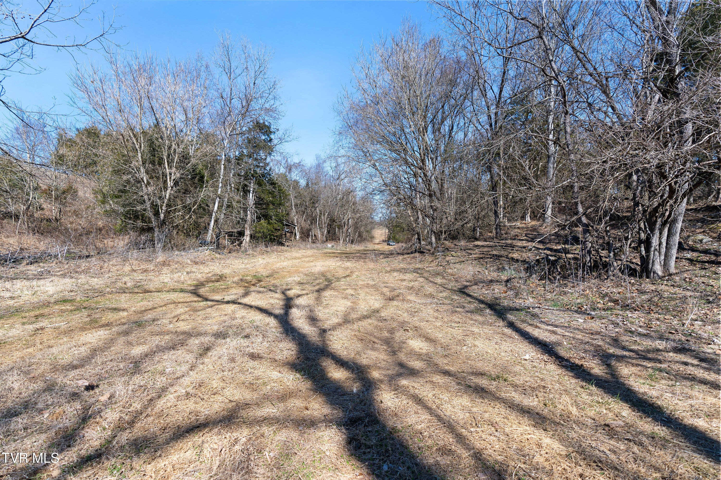 25 Acres Clear Creek Road, Chuckey, Tennessee image 19