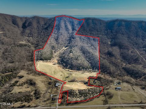 Vacant Land For Sale - TBD Rattlers Haven<br/> Scott County, Gate City, VA 24251