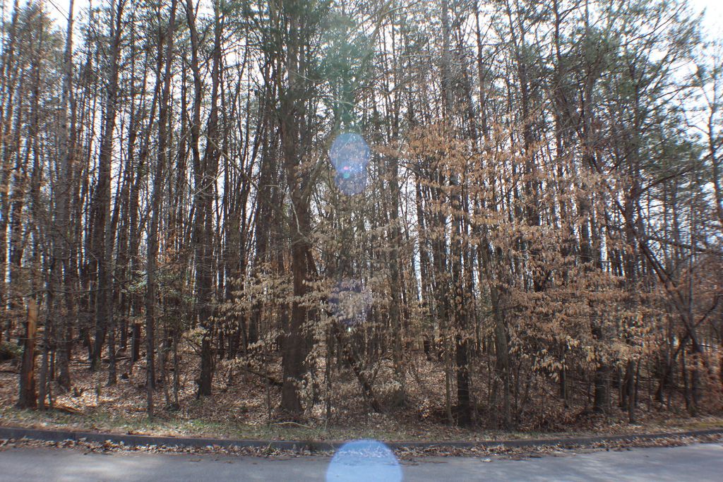 Photo of 2030 Scenic Pointe Place, Church Hill, TN 37642 (MLS # 9949106)