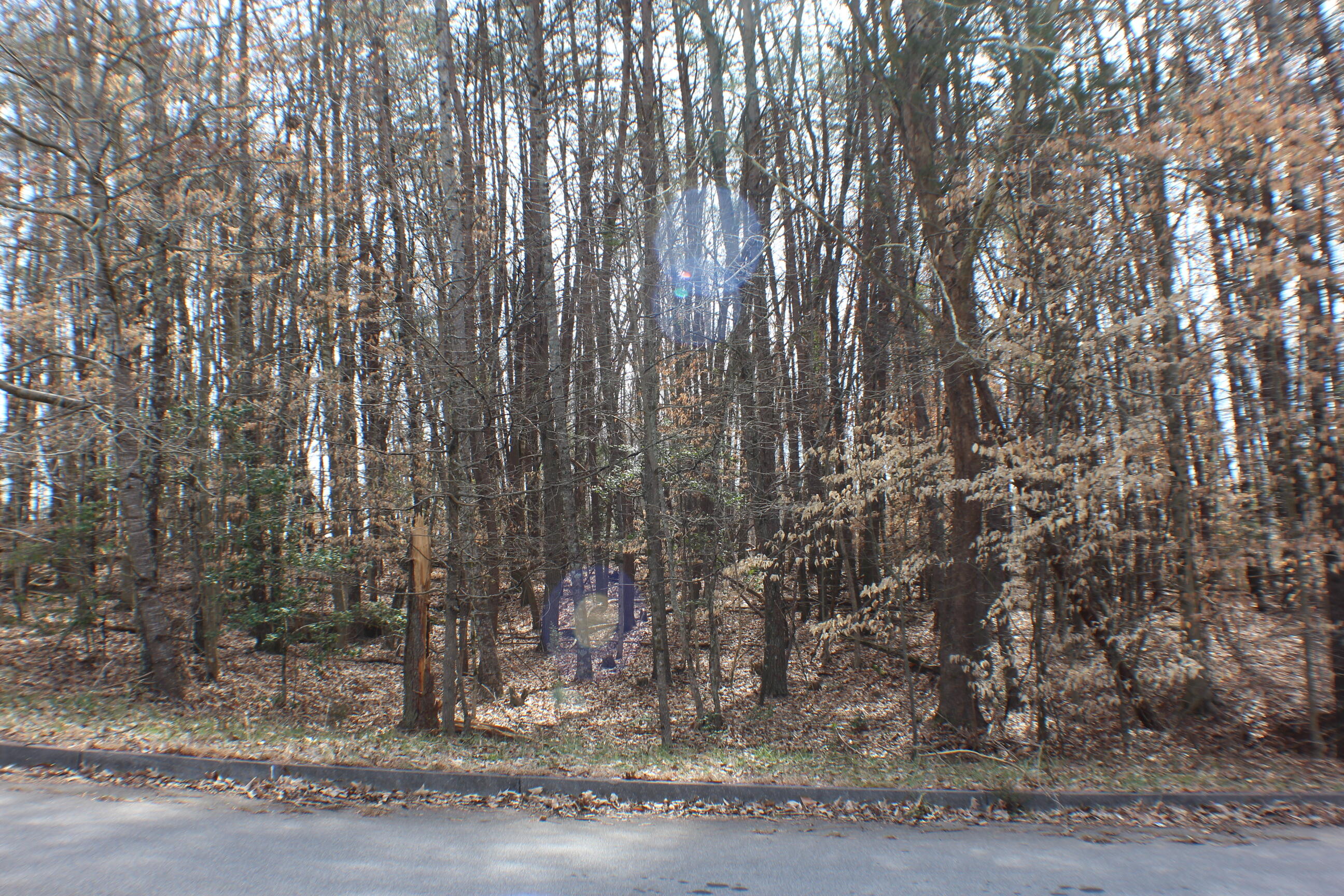 2030 Scenic Pointe Place, Church Hill, Tennessee image 3