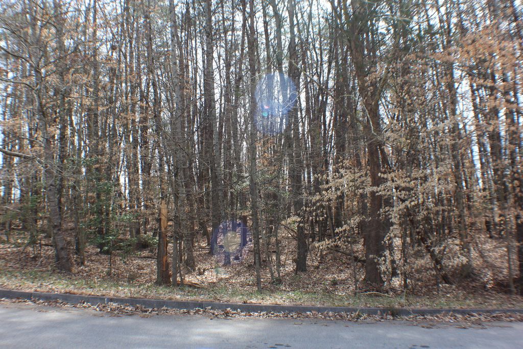 Photo of 2030 Scenic Pointe Place, Church Hill, TN 37642 (MLS # 9949106)