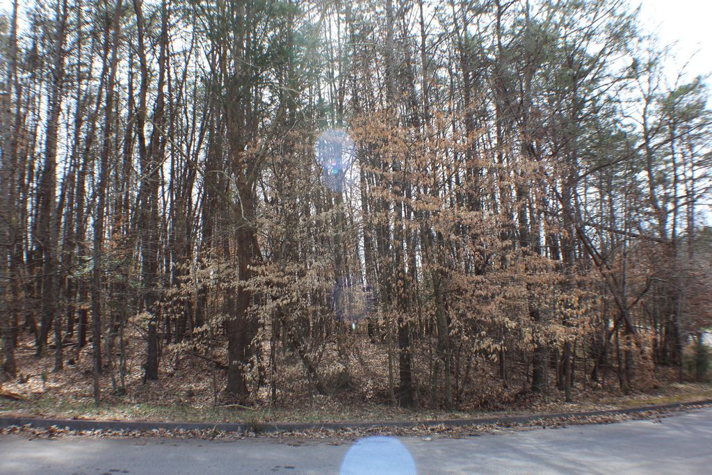 Photo of 2030 Scenic Pointe Place, Church Hill, TN 37642 (MLS # 9949106)