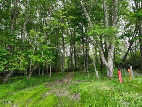 Vacant Land For Sale - 1762 Ripshin Mountain Road<br/> Roan Mountain, TN 37687