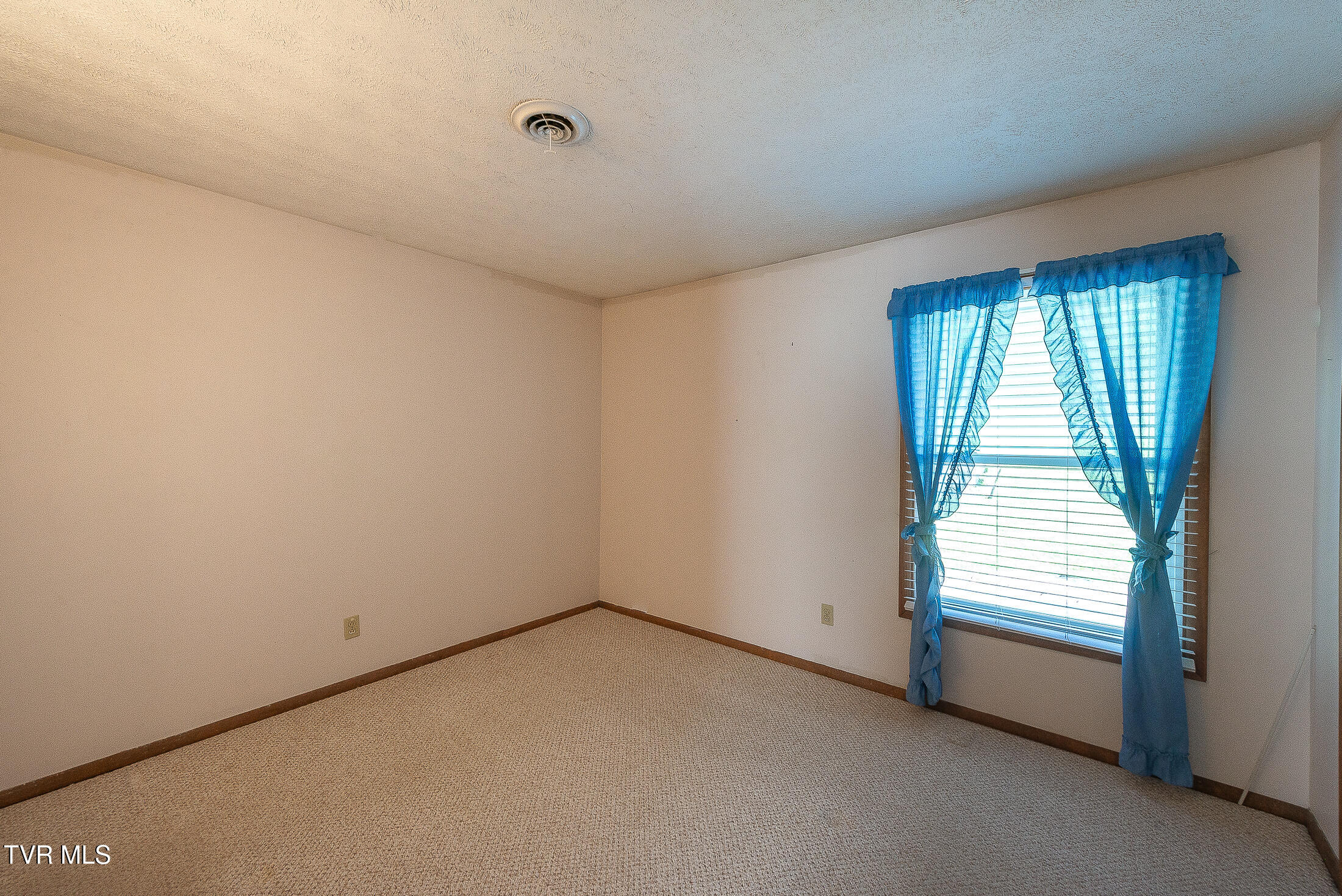 1400 Forest View Drive, Kingsport, Tennessee image 32