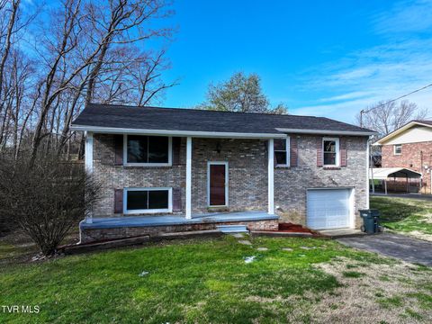 Photo of 210 Marie Street, Greeneville, TN 37743 (MLS # 9992598)