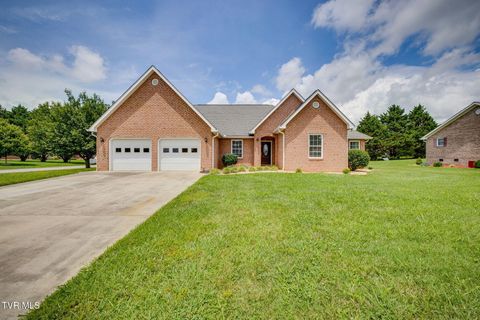 Photo of 15 Dale Court, Greeneville, TN 37745 (MLS # 9991859)