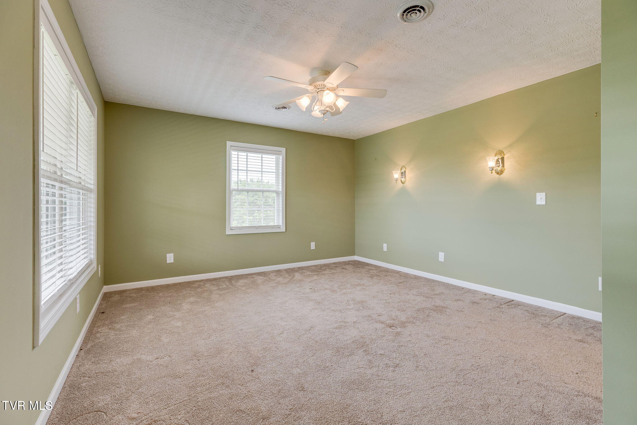 516 Bowmantown Road, Telford, Tennessee image 47