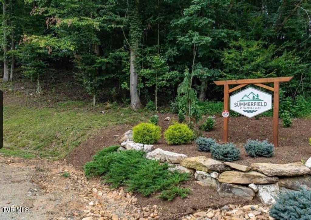 Photo of 51 Summerfield Road, Butler, TN 37640 (MLS # 9993804)