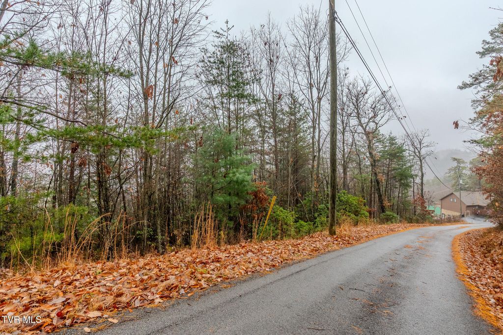 Photo of 4 Glenview Way, Sevierville, TN 37862 (MLS # 9989040)