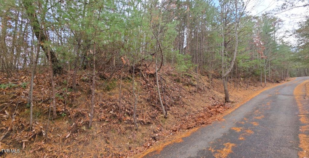 Photo of 4 Glenview Way, Sevierville, TN 37862 (MLS # 9989040)